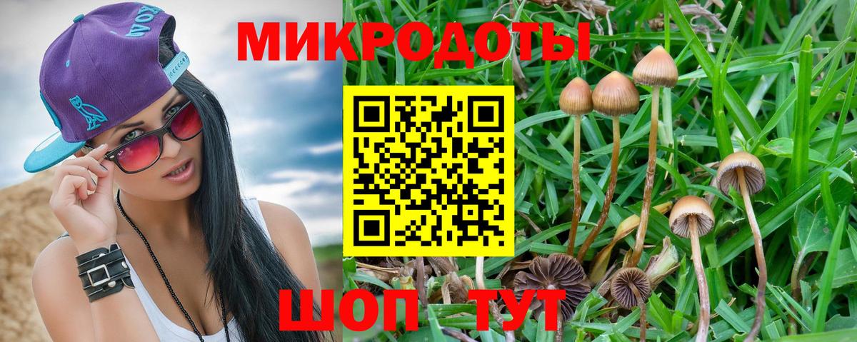 Галлюциногенные грибы мицелий  Вход с VPN  Россия 