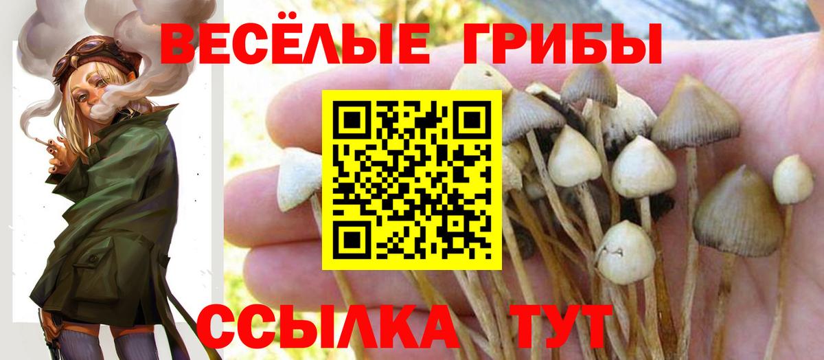 Галлюциногенные грибы MAGIC MUSHROOMS Россия